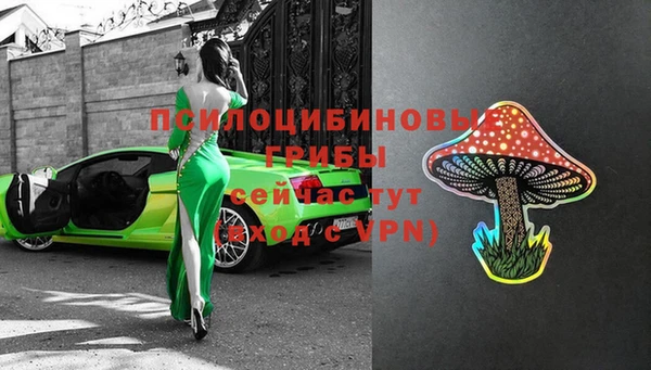 мдпв Тобольск