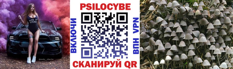 Псилоцибиновые грибы мицелий Ессентуки