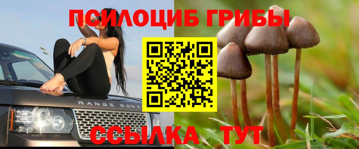 Псилоцибиновые грибы GOLDEN TEACHER Ессентуки