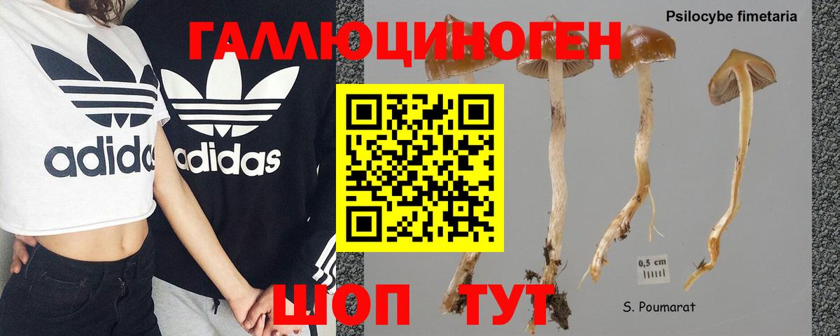 Галлюциногенные грибы ЛСД Ессентуки